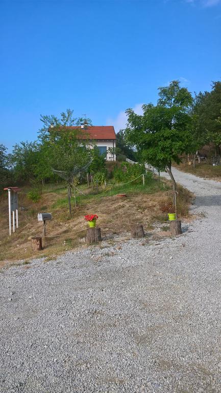 Micro-Cottage In Pietra La Ratatouille Dego Экстерьер фото
